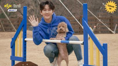Run Puppy Run Ep 8