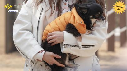 Run Puppy Run Eps. 7