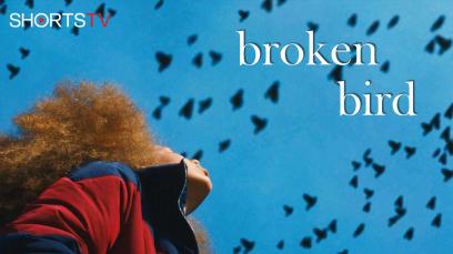 Broken Bird | Rated : PG-13